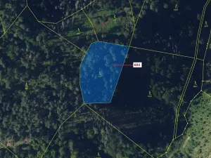 Dražba lesa, Žďárec, 2813 m2