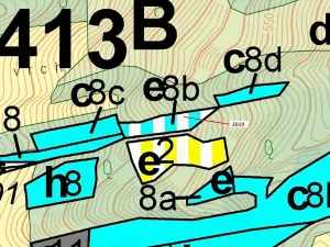 Dražba lesa, Zděchov, 867 m2
