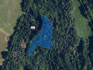 Dražba lesa, Bouzov, 2554 m2