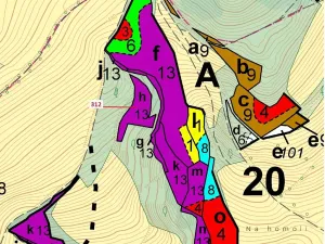 Dražba lesa, Bouzov, 2554 m2