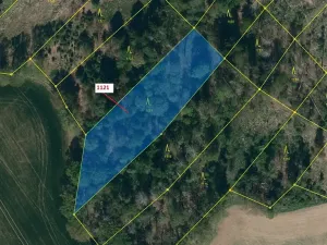 Dražba lesa, Náměšť nad Oslavou, 2998 m2