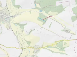 Dražba lesa, Milavče, 4689 m2