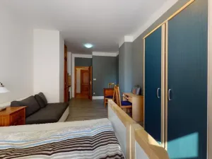 Pronájem bytu 1+kk, Praha - Vršovice, Donská, 30 m2