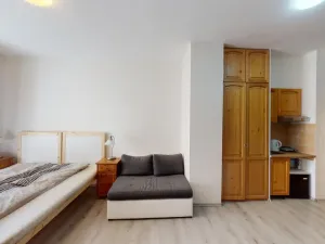 Pronájem bytu 1+kk, Praha - Vršovice, Donská, 30 m2