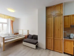 Pronájem bytu 1+kk, Praha - Vršovice, Donská, 30 m2
