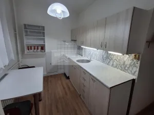 Pronájem bytu 1+1, Olomouc, Jungmannova, 42 m2