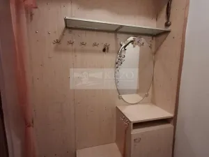 Pronájem bytu 1+1, Olomouc, Jungmannova, 42 m2