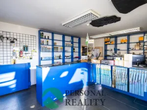 Prodej obchodního prostoru, Králův Dvůr - Levín, 411 m2