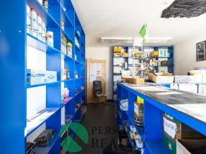 Prodej obchodního prostoru, Králův Dvůr - Levín, 411 m2