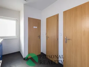 Prodej obchodního prostoru, Králův Dvůr - Levín, 411 m2