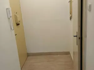 Prodej bytu 1+1, Kralovice, Na Palcátech, 48 m2