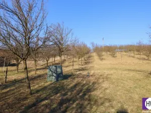 Prodej rodinného domu, Louka, 95 m2