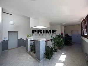 Pronájem kanceláře, Praha - Smíchov, Štefánikova, 55 m2