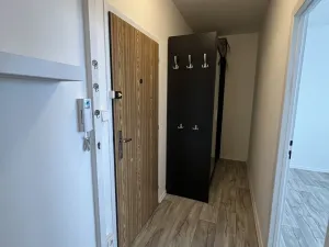 Pronájem bytu 2+1, Olomouc - Nové Sady, Zikova, 48 m2