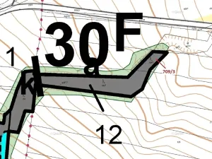 Dražba lesa, Osek, 301 m2