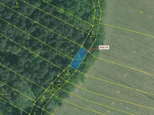 Dražba lesa, Milavče, 222 m2