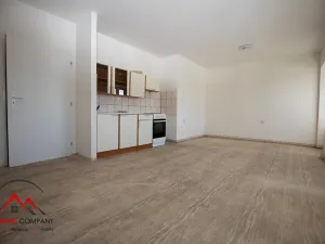 Pronájem bytu 1+kk, Třemešná, 40 m2