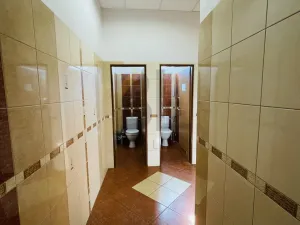 Pronájem kanceláře, Hodonín, Za Dráhou, 24 m2