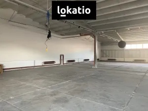 Pronájem skladu, Kralupy nad Vltavou, Trojanova, 550 m2