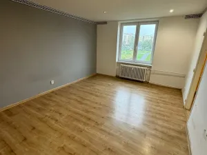 Pronájem bytu 2+1, Jirkov, Osvobození, 50 m2