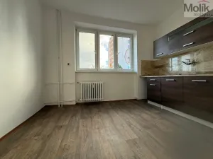 Pronájem bytu 2+1, Most, Vítězslava Nezvala, 52 m2