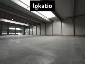 Pronájem skladu, Kralupy nad Vltavou, V Pískovně, 3600 m2