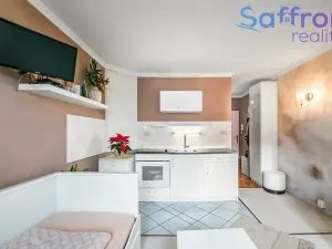 Prodej bytu 1+kk, Plzeň, náměstí Generála Píky, 23 m2