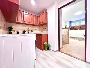 Prodej bytu 1+1, Praha - Žižkov, Biskupcova, 29 m2