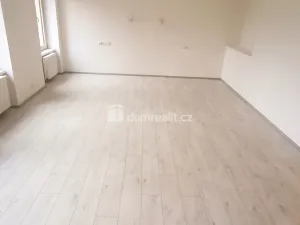 Pronájem bytu 2+kk, Ústí nad Labem - Ústí nad Labem-centrum, Elišky Krásnohorské, 65 m2