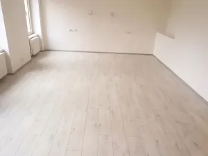 Pronájem bytu 2+kk, Ústí nad Labem - Ústí nad Labem-centrum, Elišky Krásnohorské, 65 m2