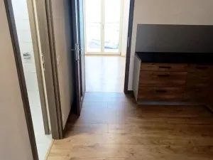 Pronájem bytu 2+kk, Ústí nad Labem - Ústí nad Labem-centrum, Elišky Krásnohorské, 65 m2