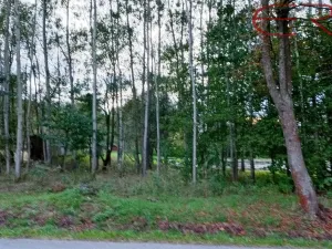 Prodej pozemku pro bydlení, Běleč, 945 m2