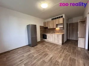 Pronájem bytu 1+1, Žatec, Pražská, 36 m2