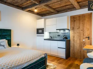 Prodej bytu 1+kk, Harrachov, 28 m2