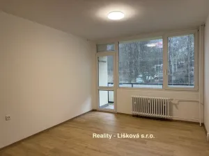 Pronájem bytu 2+1, Ústí nad Labem - Střekov, Tolstého, 63 m2