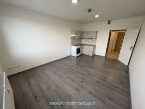 Pronájem bytu 1+kk, Znojmo, Holandská, 20 m2