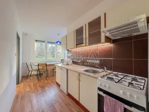 Pronájem bytu 3+1, České Budějovice - České Budějovice 2, J. Opletala, 65 m2