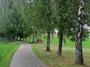 Prodej pozemku, Králova Lhota - Laziště, 2640 m2