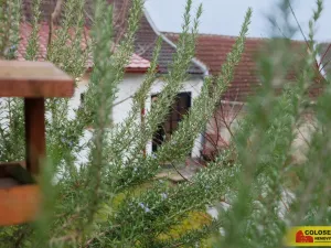 Prodej chalupy, Tvarožná Lhota, 85 m2