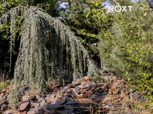 Prodej rodinného domu, Praha - Šeberov, K Safině, 417 m2