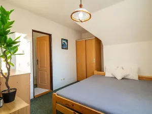 Prodej rodinného domu, Strážné, 450 m2