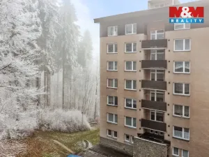 Prodej bytu 1+1, Janské Lázně, Na Sluneční Stráni, 38 m2