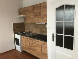 Pronájem bytu 1+1, Děčín, Litoměřická, 34 m2