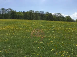 Prodej pozemku pro bydlení, Volyně, 6867 m2