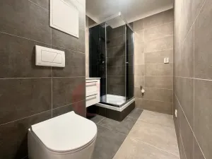 Pronájem bytu 1+1, Třemošná, Luční, 40 m2