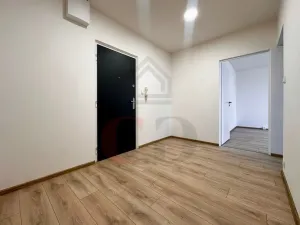 Pronájem bytu 1+1, Třemošná, Luční, 40 m2