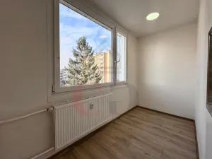 Pronájem bytu 1+1, Třemošná, Luční, 40 m2