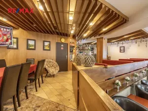 Prodej ubytování, Doksy, Pod Borným, 1700 m2