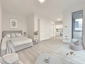 Pronájem bytu 1+kk, Zlín, Pod Hradem II, 29 m2