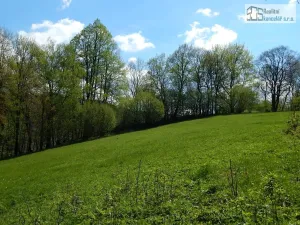 Prodej pozemku pro bydlení, Branná, 7409 m2